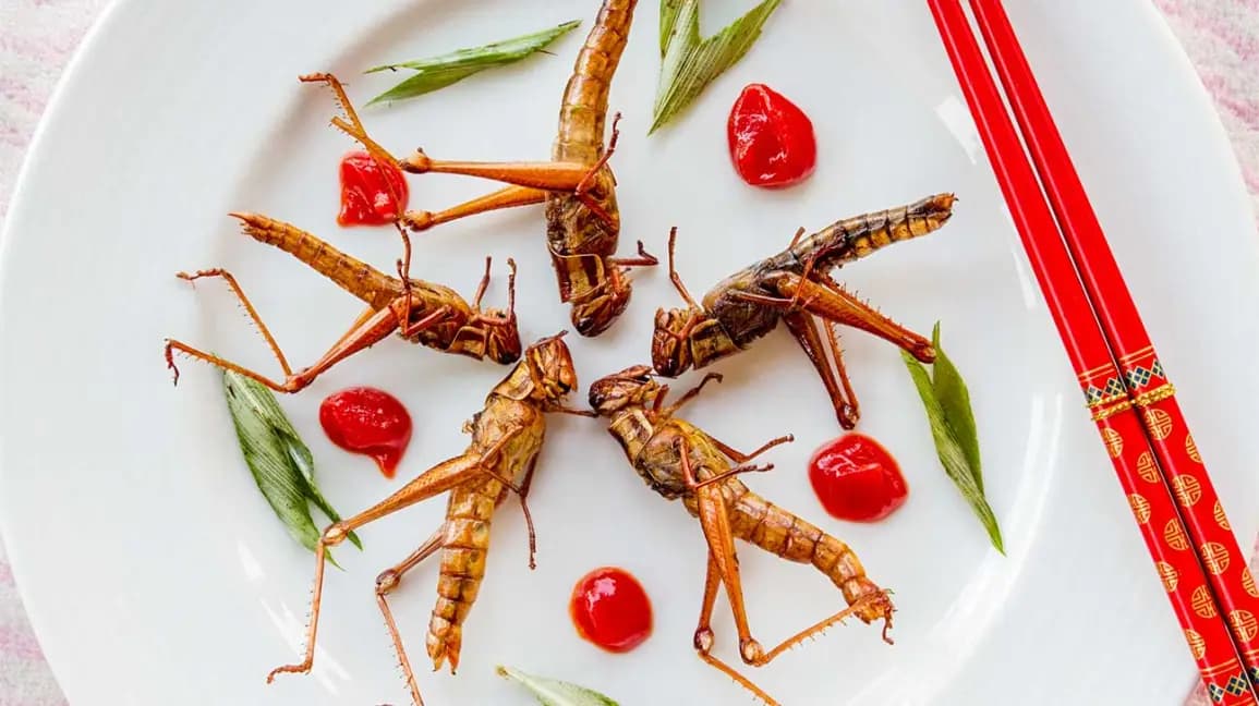 how-to-make-your-own-edible-insects-and-why-they-are-good-for-you