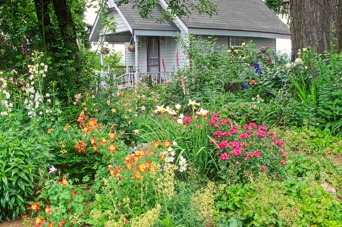 chaos-gardening-why-the-best-gardens-are-a-little-wild